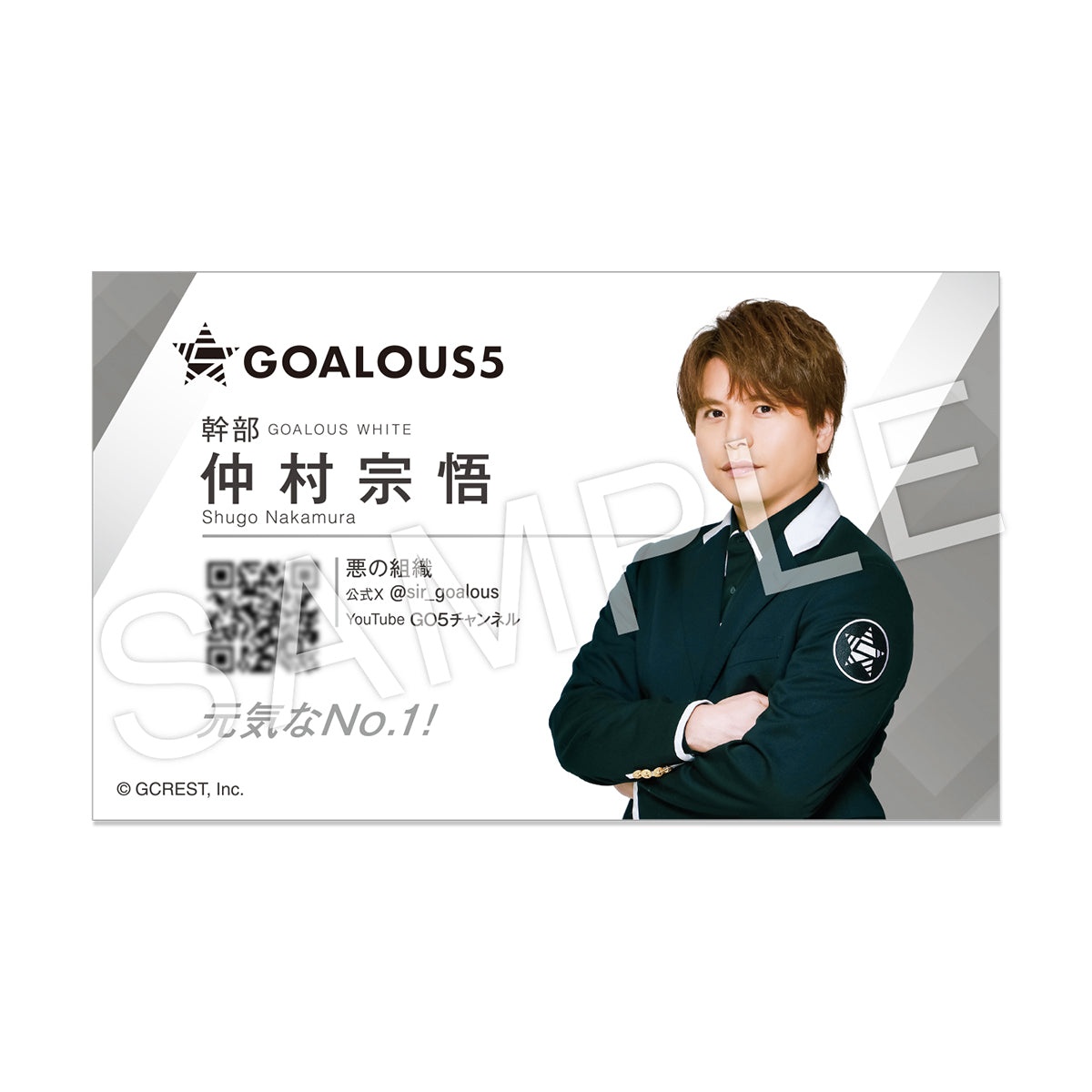 GOALOUS5 ゴーラス名刺セット – GCRESTORE ジークレストア