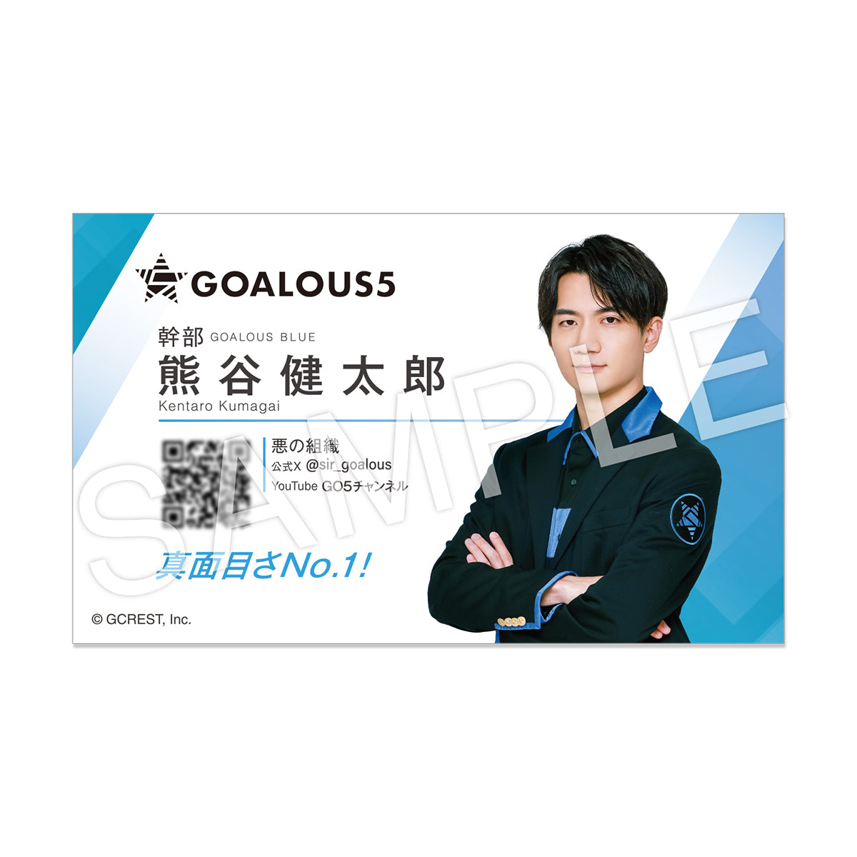 いラインアップ GOALOUS5 ゴーラス名刺セット – GCRESTORE ジークレストア 帳簿・伝票・事務書類