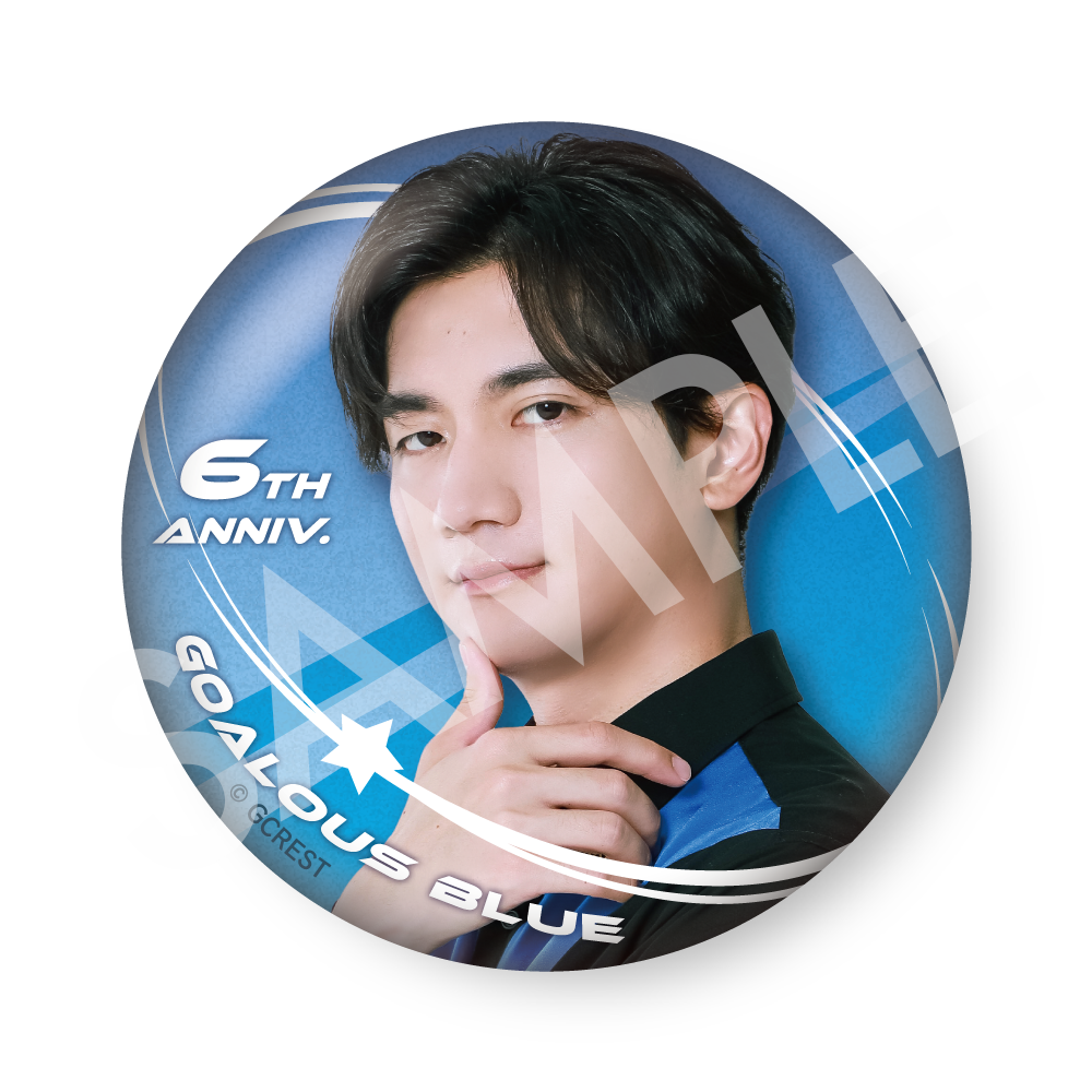 ゴーラス5 ゴーラスブルー 缶バッジ22個セット GOALOUS5(ゴーラス ゴーラス5 ゴーラスブルー 缶バッジ22個セット GOALOUS5(ゴーラス